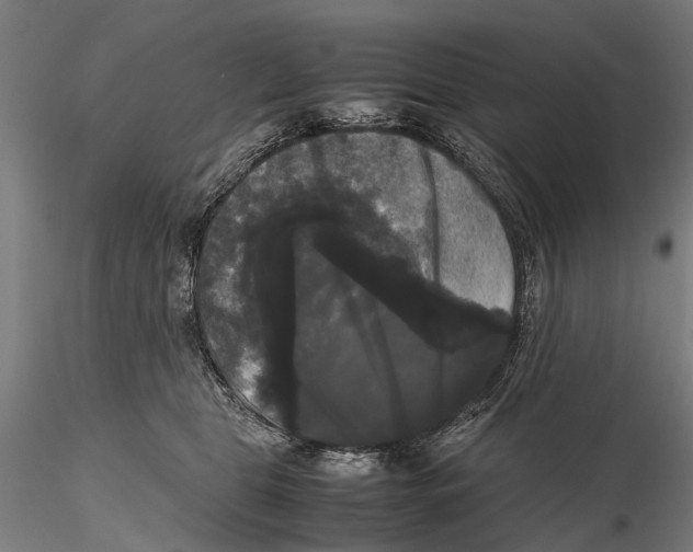 X0000115720469200912101432