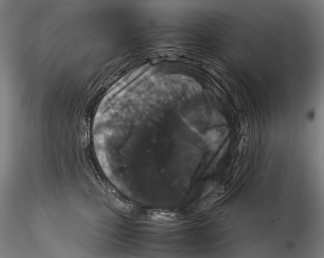 X0000115720471200912101432