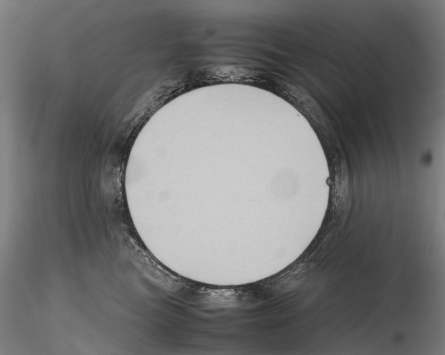 X0000115720473200912101432