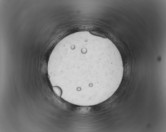 X0000115720474200912101432