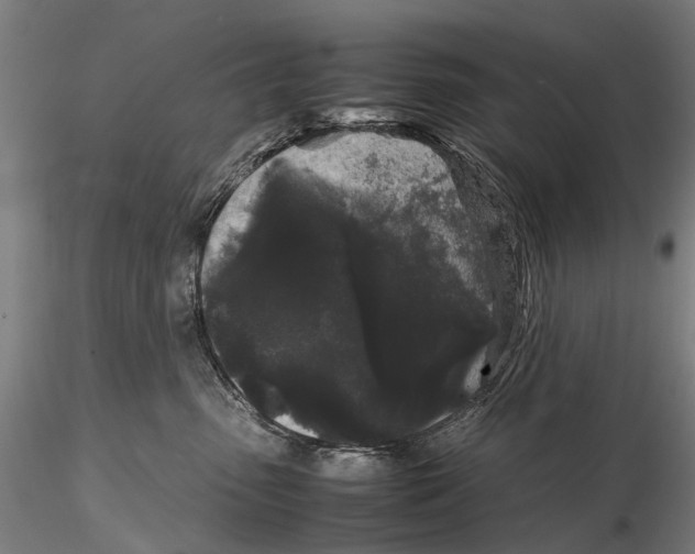 X0000115720475200912101432