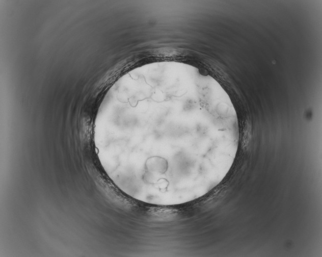 X0000115720476200912101432