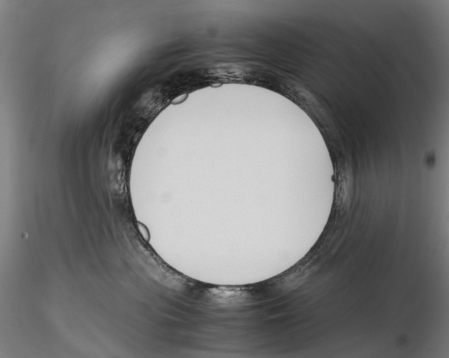 X0000115720477200912101432