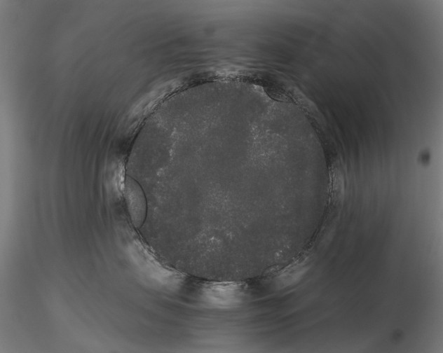 X0000115720479200912101432