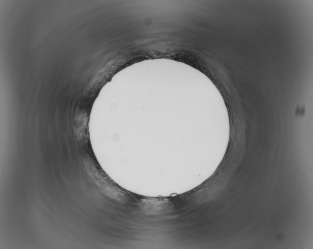 X0000115720480200912101432