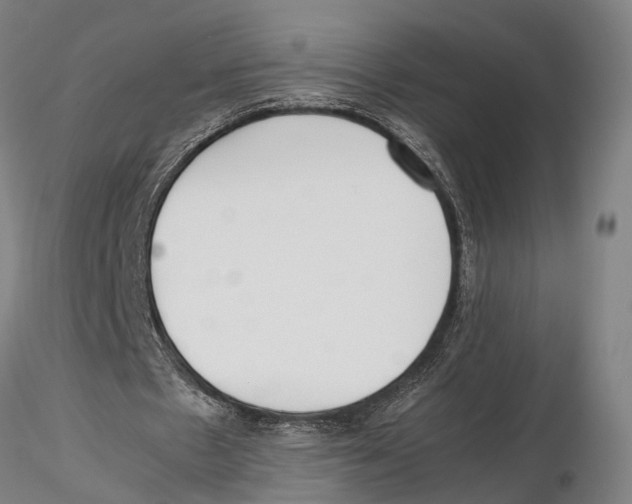 X0000115720481200912101432