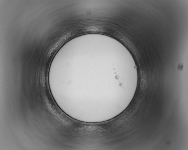 X0000115720482200912101432