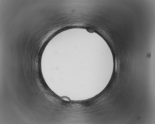 X0000115720483200912101432