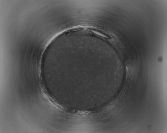 X0000115720484200912101432