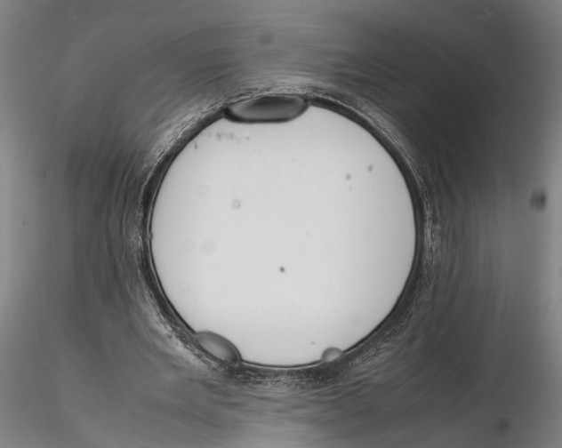 X0000115720485200912101432
