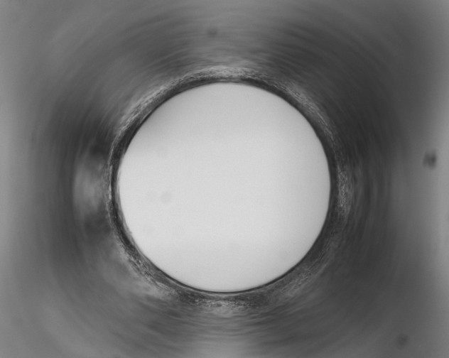 X0000115720486200912101432