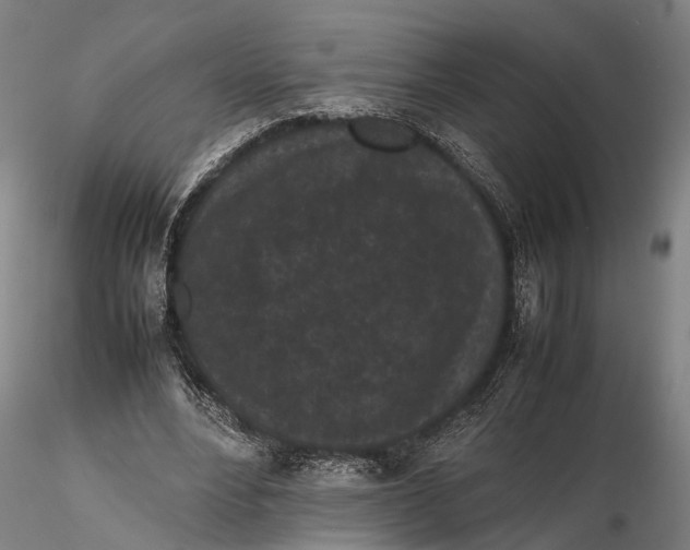 X0000115720488200912101432