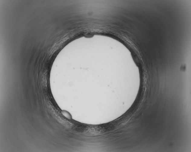 X0000115720489200912101432