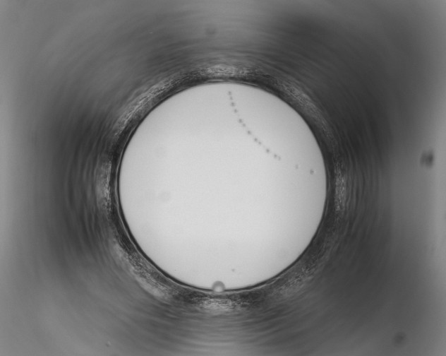 X0000115720490200912101432