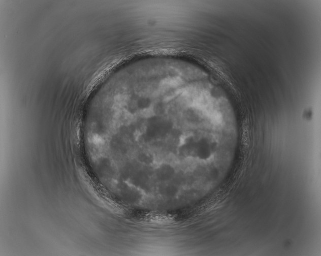 X0000115720491200912101432