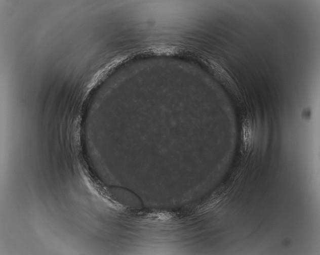 X0000115720492200912101432