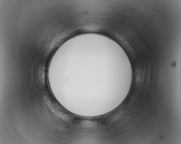 X0000115720494200912101432