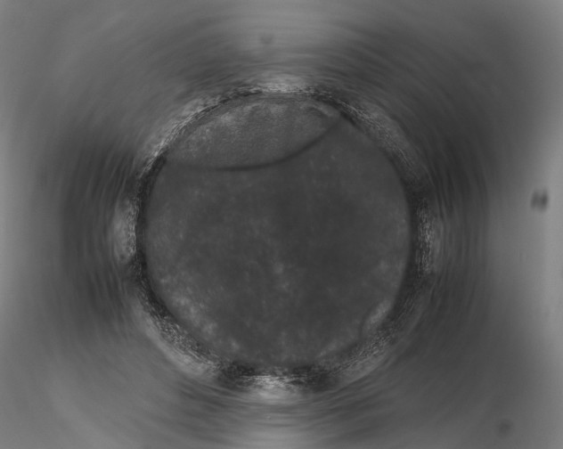X0000115720496200912101431