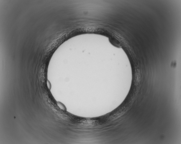 X0000115720497200912101431