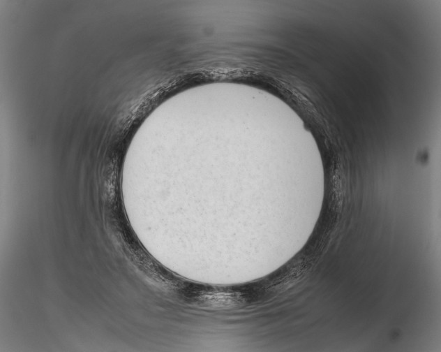 X0000115720499200912101431