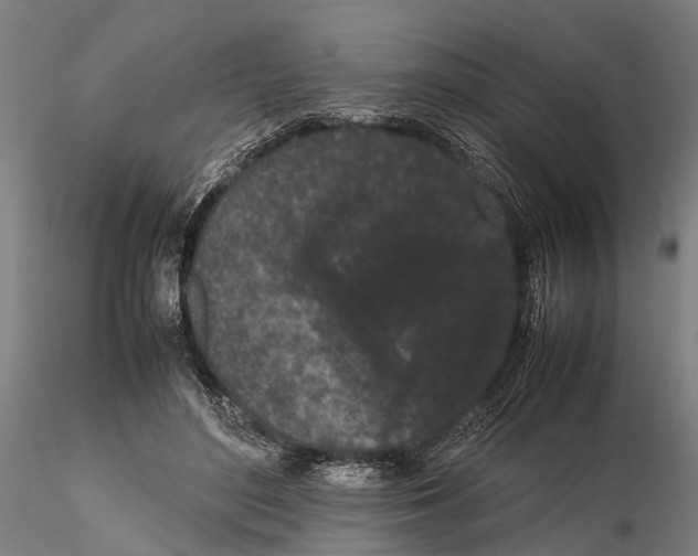 X0000115720500200912101431