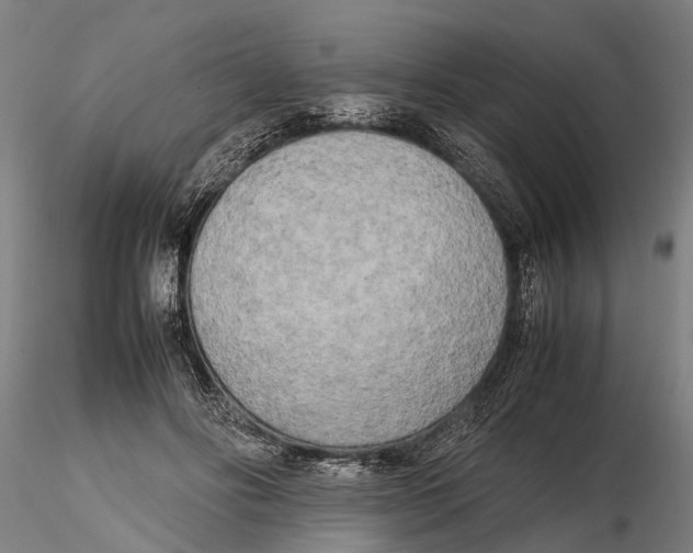 X0000115720502200912101431
