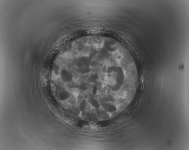 X0000115720503200912101431