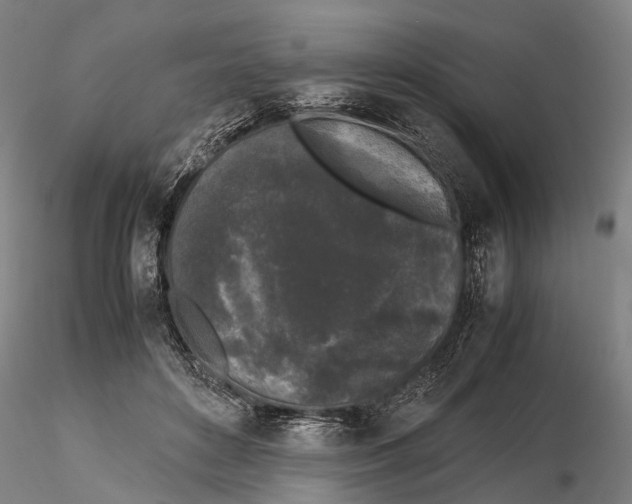 X0000115720504200912101431