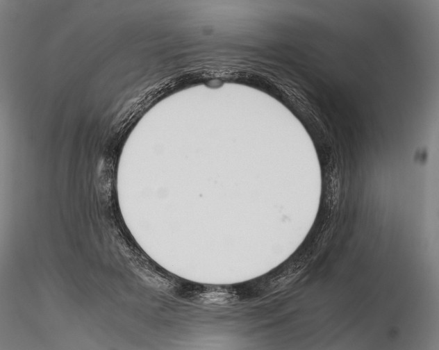 X0000115720505200912101431