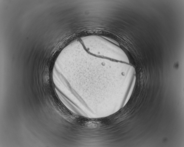X0000115720508200912101431