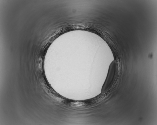 X0000115720511200912101431