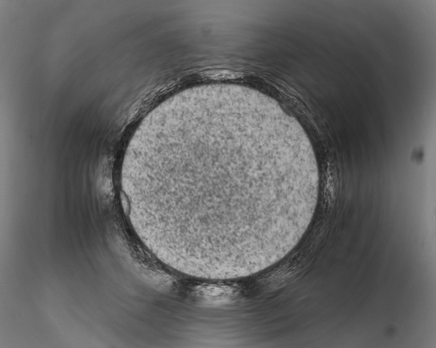 X0000115720512200912101431