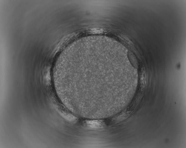 X0000115720516200912101431