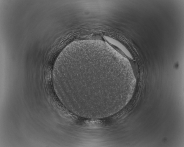 X0000115720517200912101431