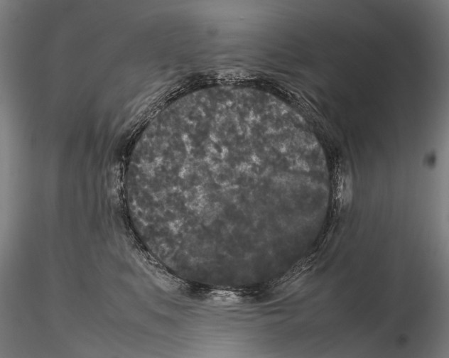 X0000115720519200912101431