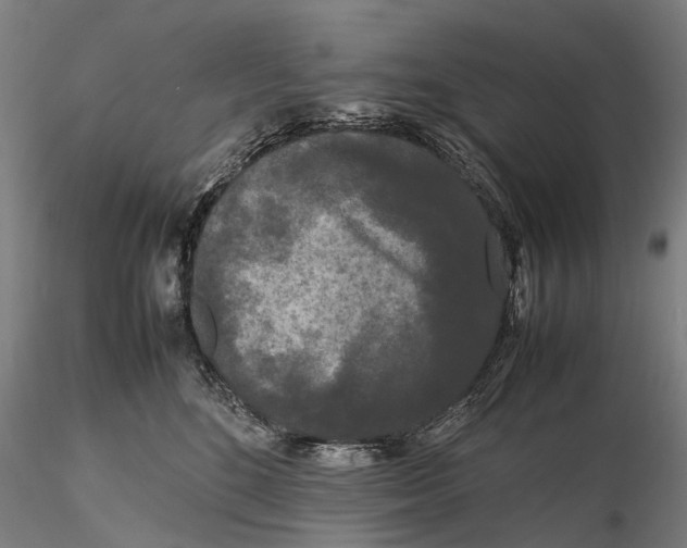 X0000115720520200912101431