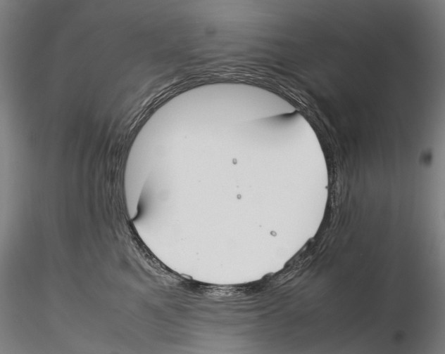 X0000115720521200912101431