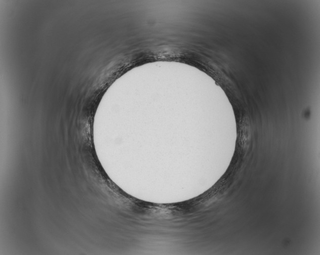 X0000115720523200912101431