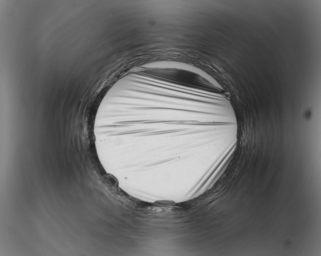 X0000115720524200912101431