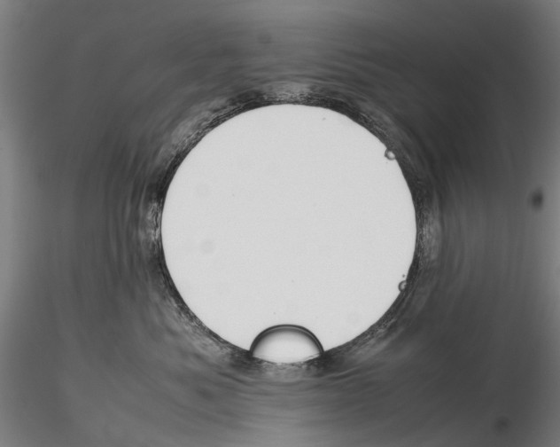 X0000115720525200912101431