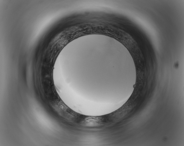 X0000115720526200912101431