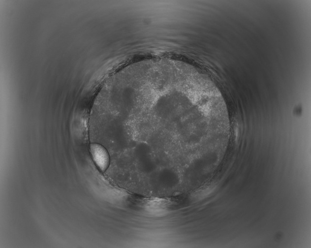 X0000115720527200912101431