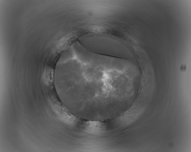 X0000115720528200912101431