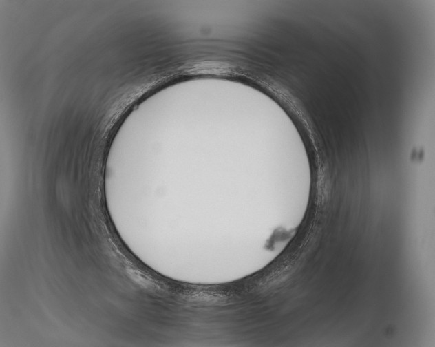 X0000115720529200912101430