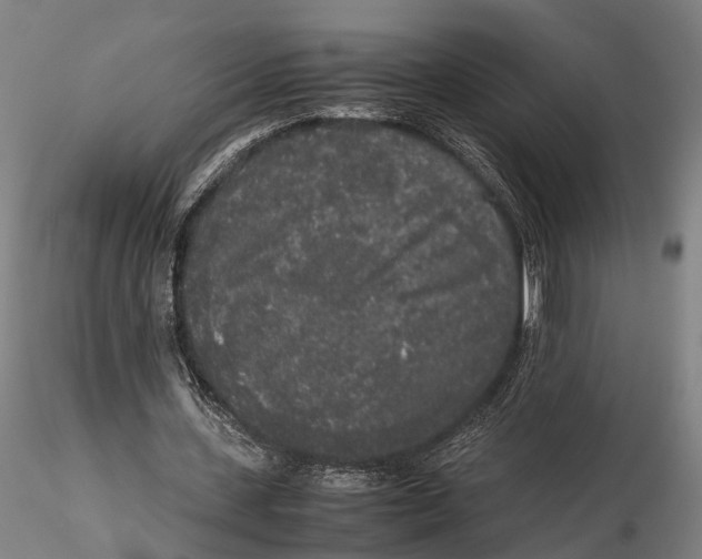 X0000115720531200912101430