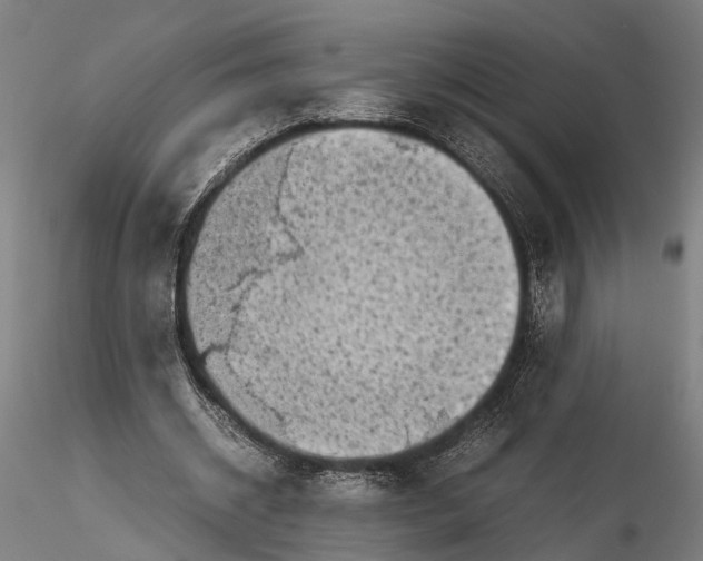 X0000115720534200912101430
