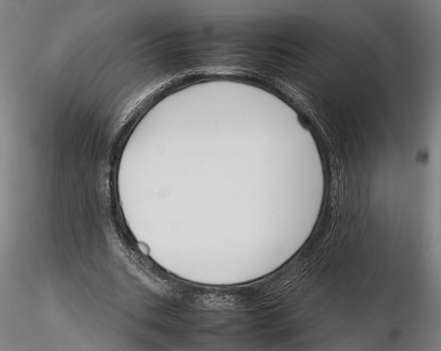 X0000115720535200912101430