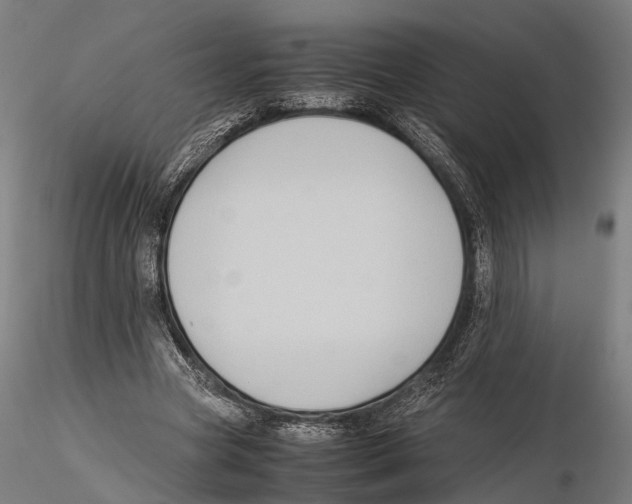 X0000115720537200912101430