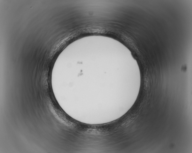 X0000115720538200912101430