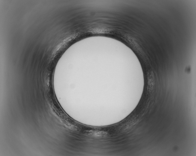 X0000115720539200912101430